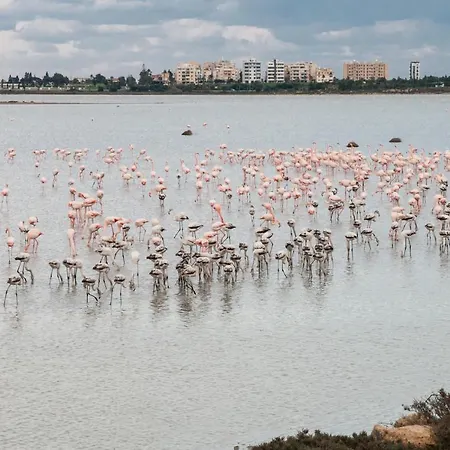 Promenade Breeze Larnaca